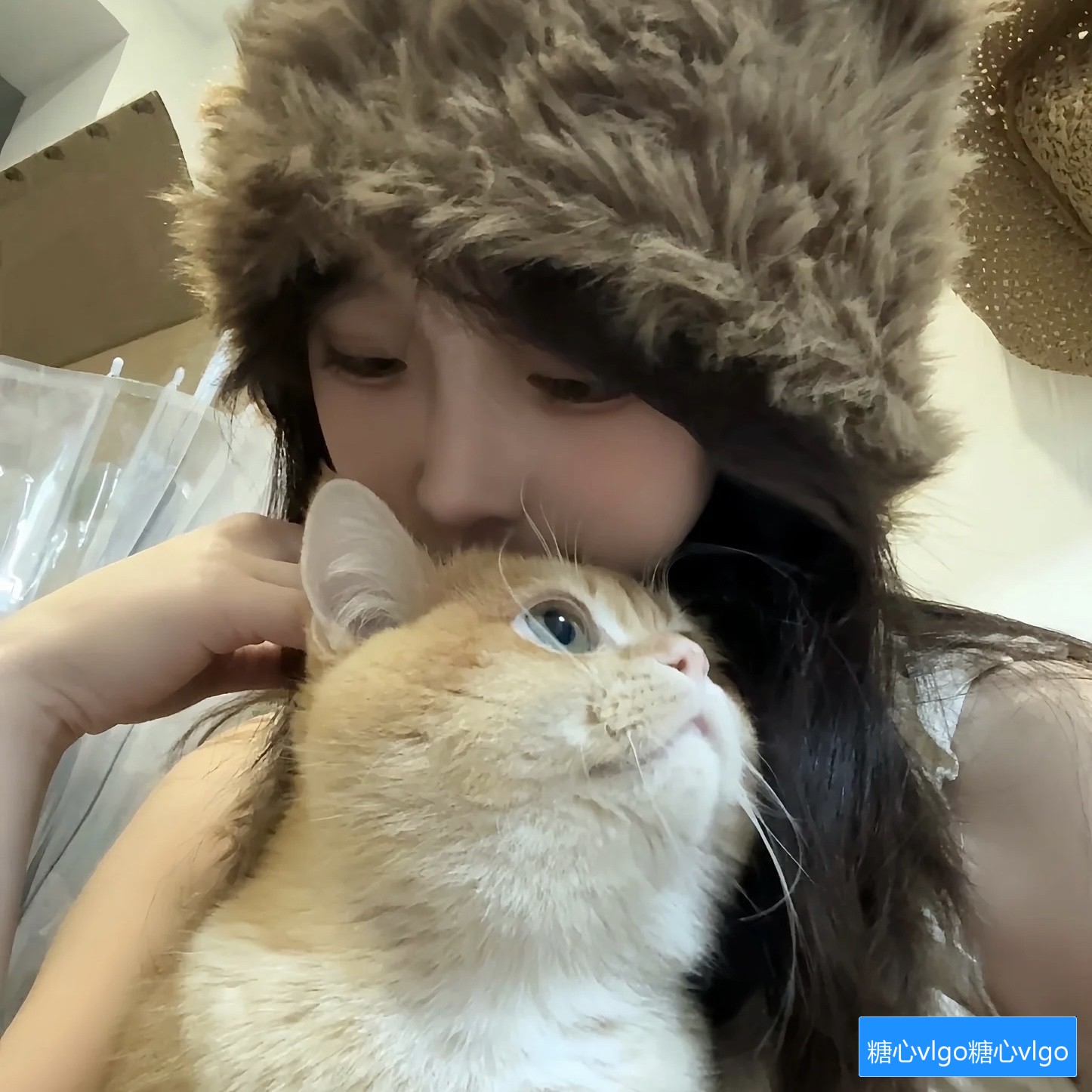 糖心vlgo.com是一个什么样的平台？使用时有哪些注意事项和常见问题解答